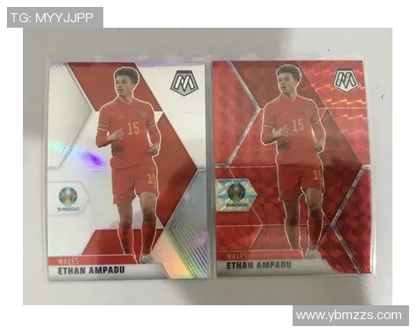 卡帕尼尼足球世界杯球星卡的魅力与收藏价值深度剖析